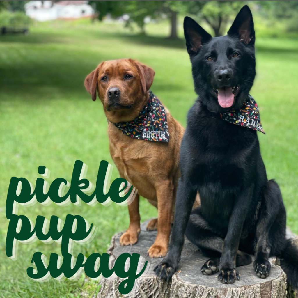 pickle pup swag 1