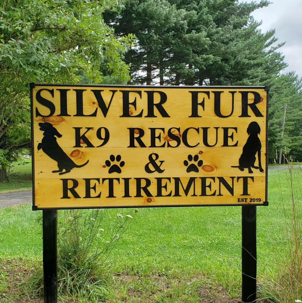 silver fur k9 1