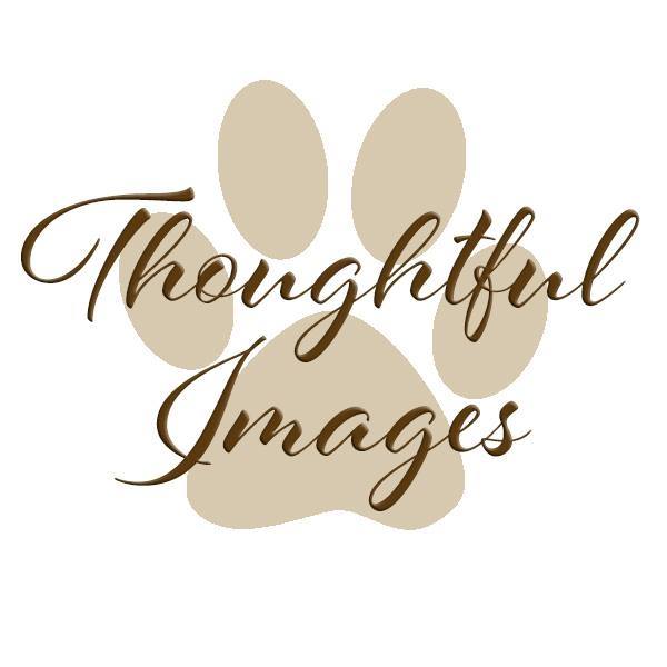 Thoughtful Images